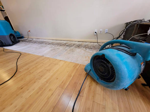 Professional Structural Drying technician working in Tobaccoville, NC